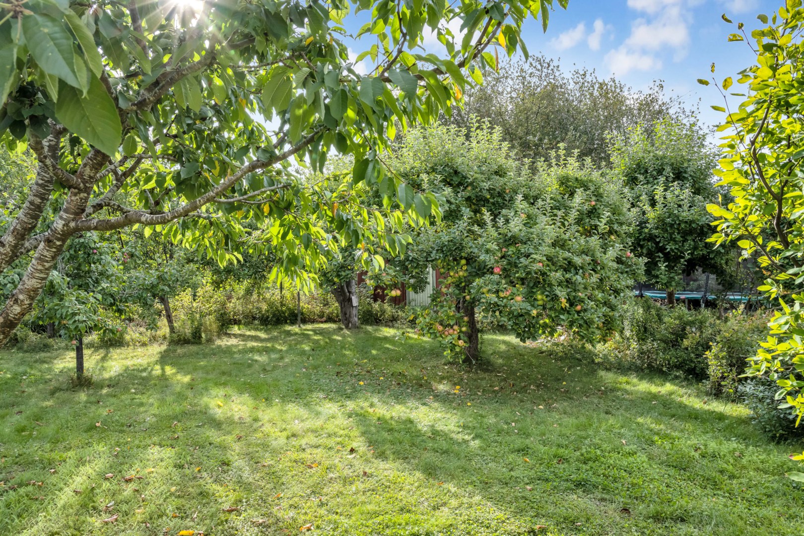 Bostadsbild från Läbygatan 8, Såld i Kungsgärdet, Uppsala