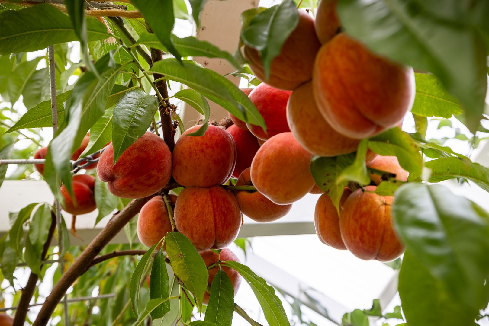 Bostadsbild från Vänge-Väsby Smedjetäppan 32, Såld i Vänge, Uppsala