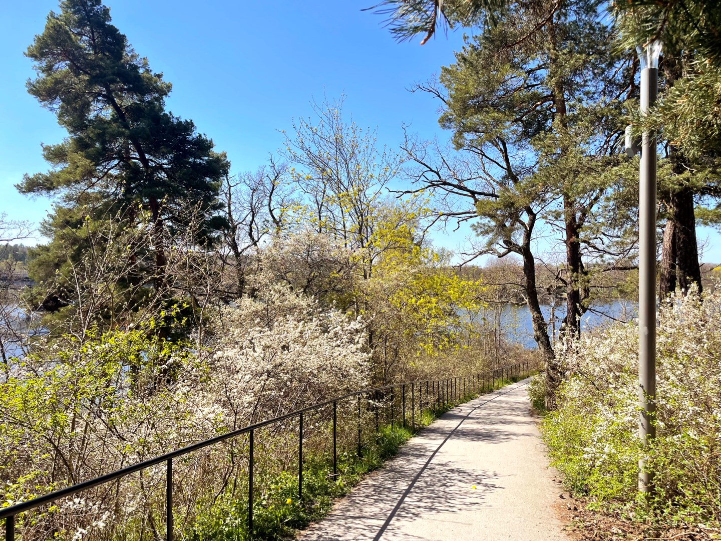 Bostadsbild från Tennisvägen 10, Kommande i Bromma - Nockebyhov, Stockholm