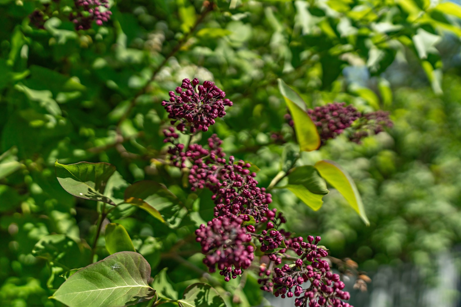 Bostadsbild från Tennisvägen 10, Kommande i Bromma - Nockebyhov, Stockholm