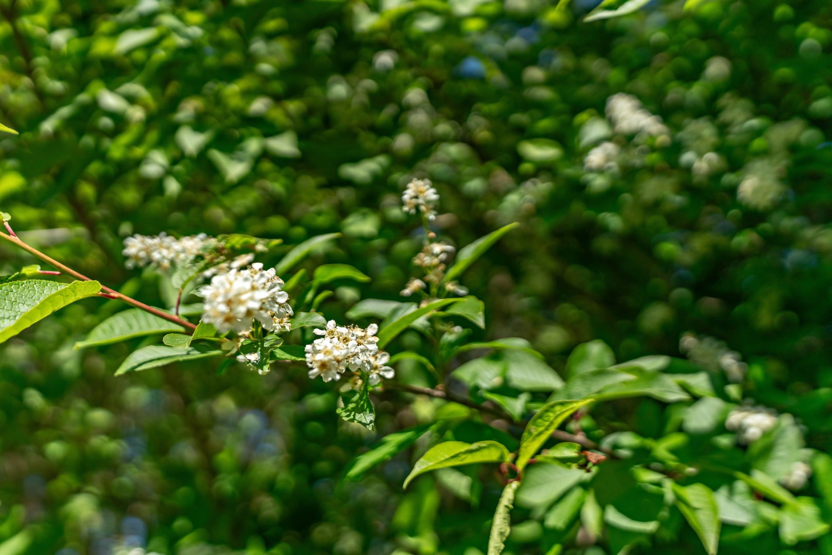 Bostadsbild från Tennisvägen 10, Kommande i Bromma - Nockebyhov, Stockholm
