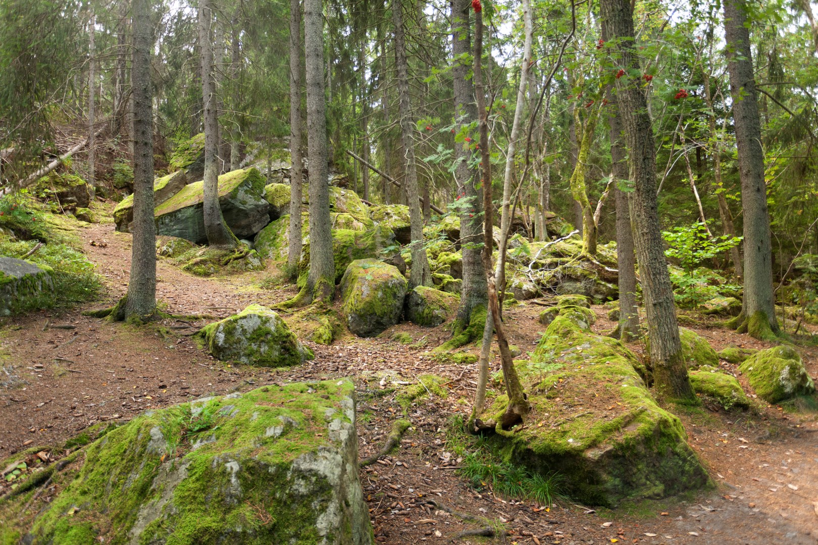 Bostadsbild från Tennisvägen 10, Kommande i Bromma - Nockebyhov, Stockholm