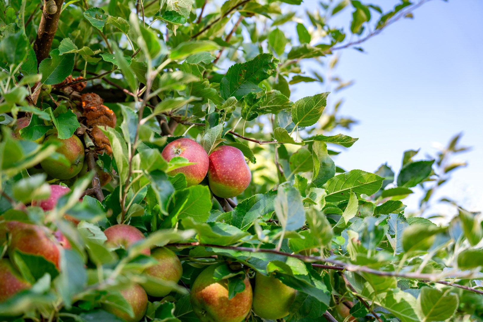 Bostadsbild från Skrakvägen 4, Snart till salu i Sunnersta, Uppsala