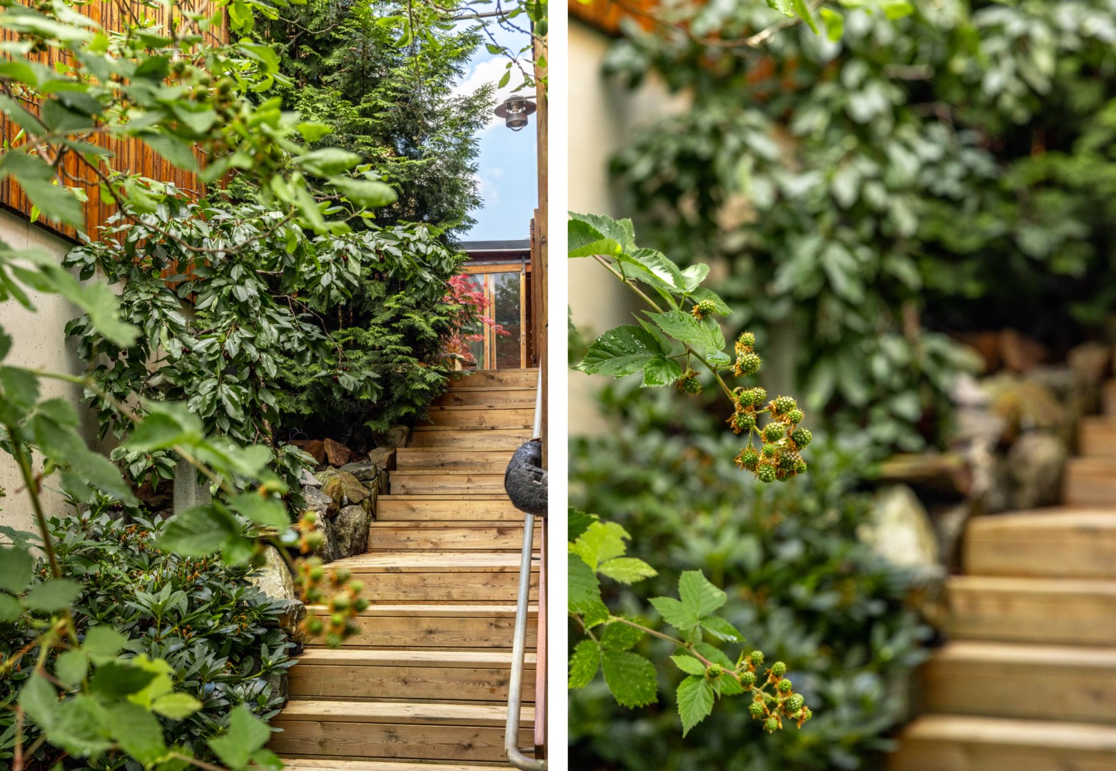 Trappan mot den östra entrén ramas in av grönska med körsbärsträd och allehanda bärbuskar.