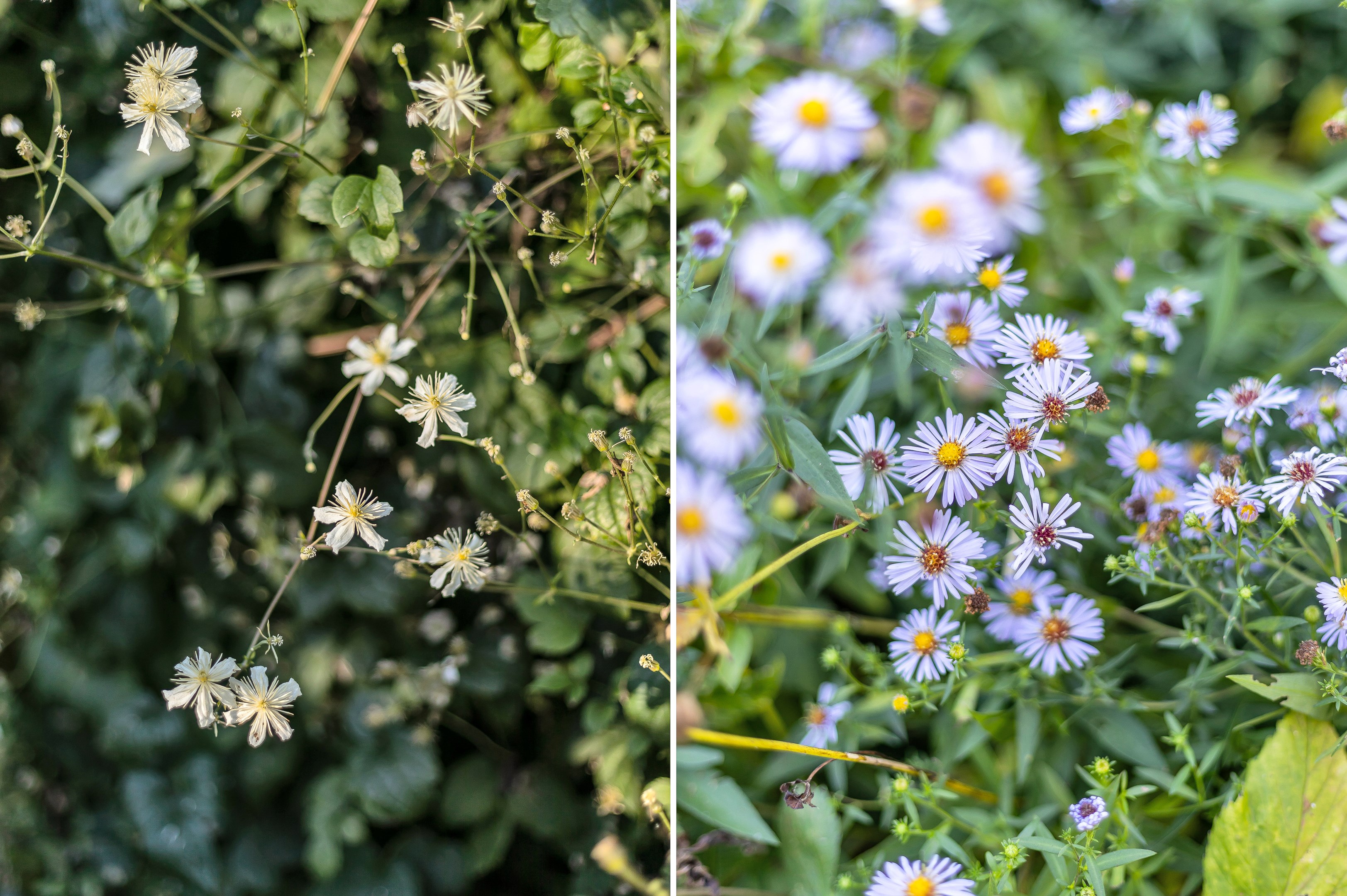 Bostadsbild från Strandvägen 32, Såld i Morgongåva, Heby