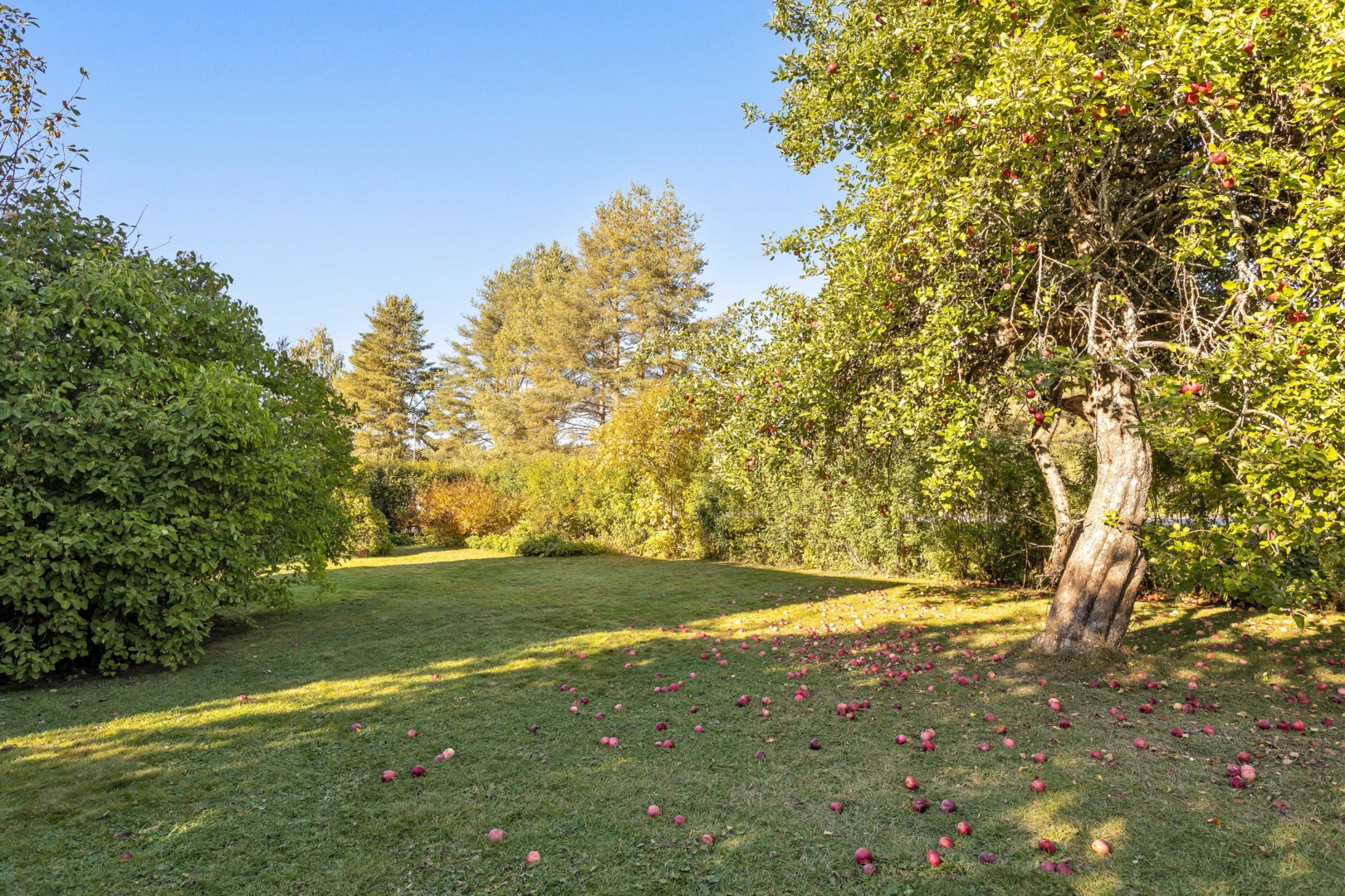 Bostadsbild från Strandvägen 32, Såld i Morgongåva, Heby