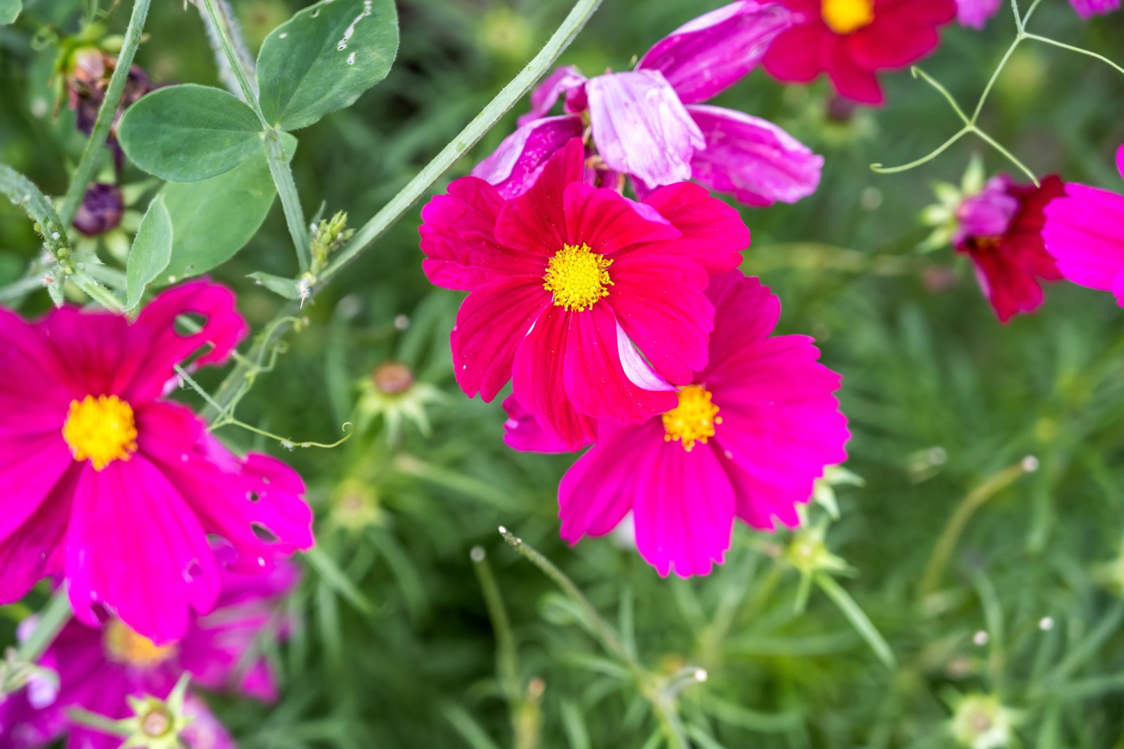 Bostadsbild från Slöjmolnsvägen 7, Såld i Storvreta, Uppsala