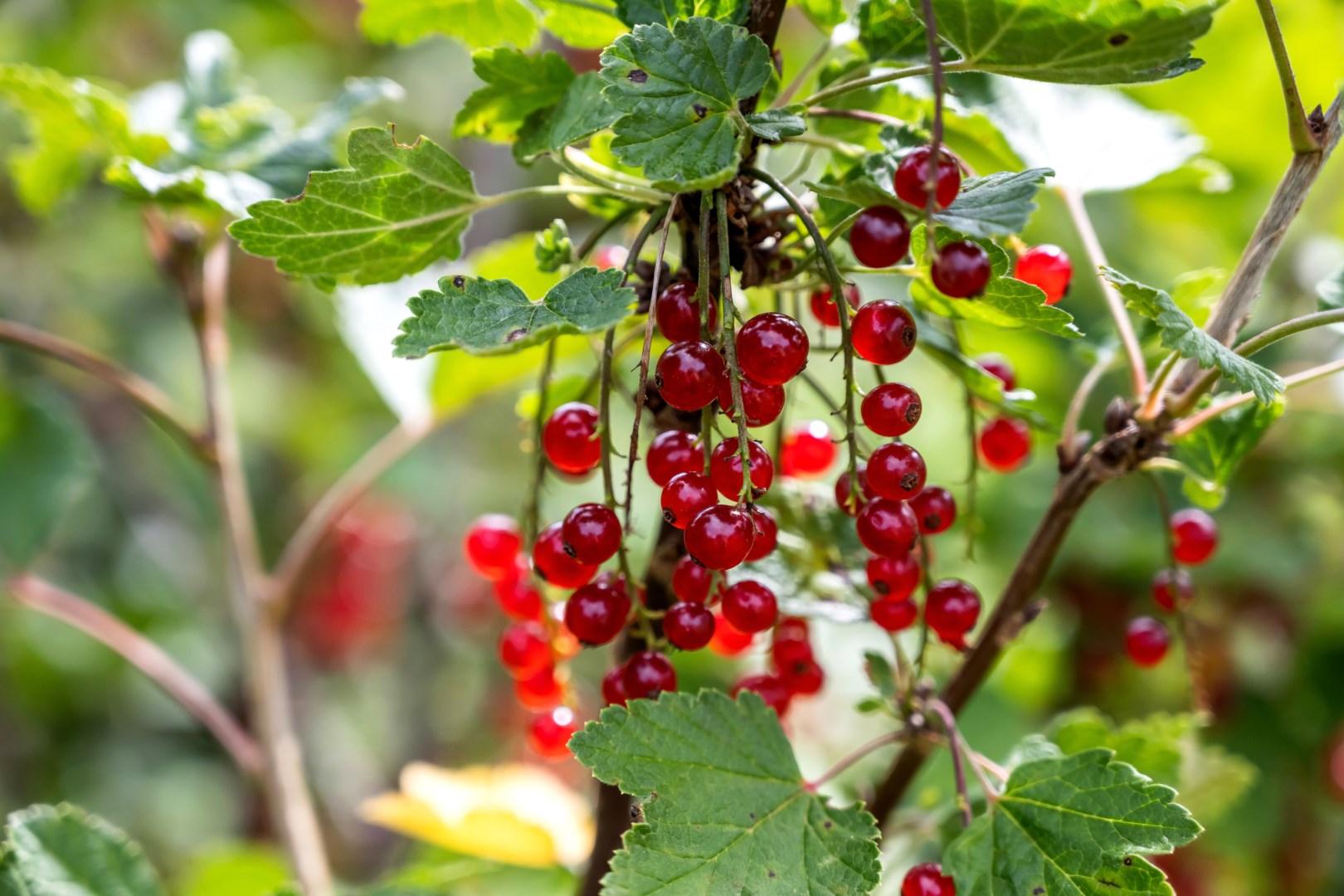 Bostadsbild från Slöjmolnsvägen 7, Såld i Storvreta, Uppsala