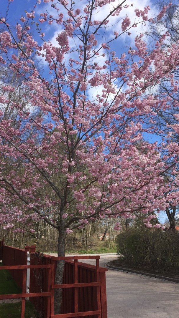 Bostadsbild från Nya Valsätravägen 1A, Såld i Norby, Uppsala