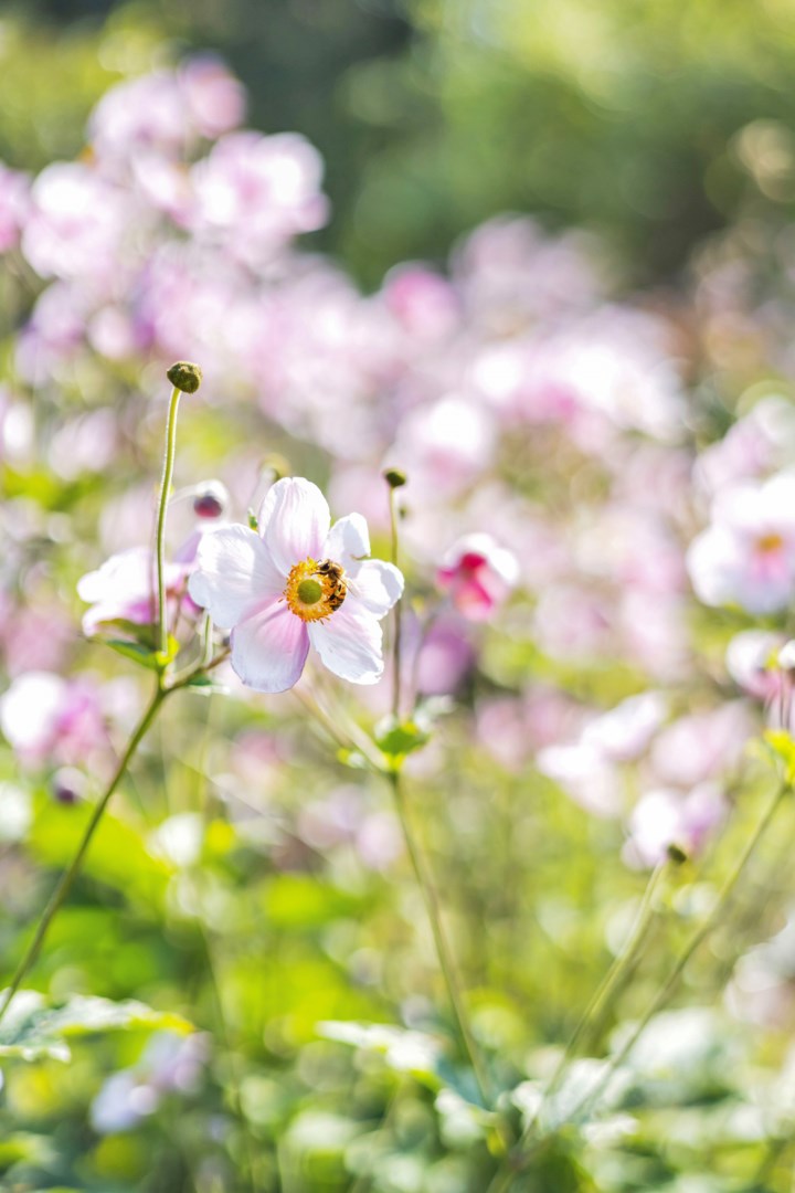 Bostadsbild från Hällbygatan 6, Såld i Luthagen, Uppsala