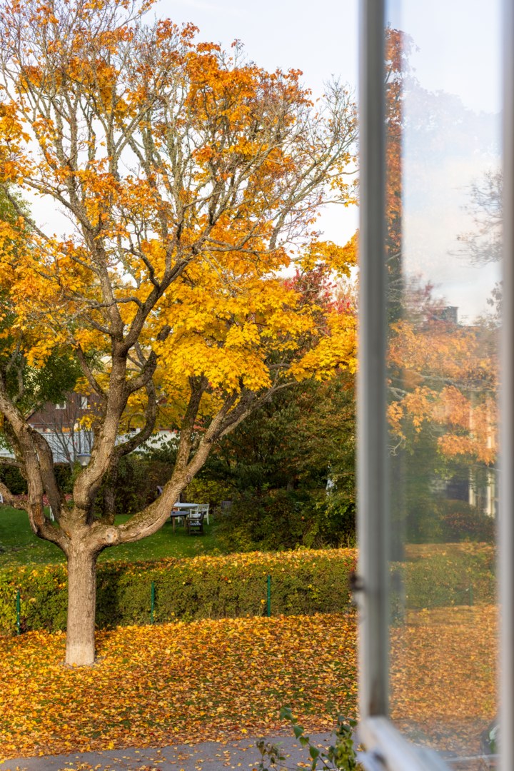 Bostadsbild från Hällbygatan 6, Såld i Luthagen, Uppsala