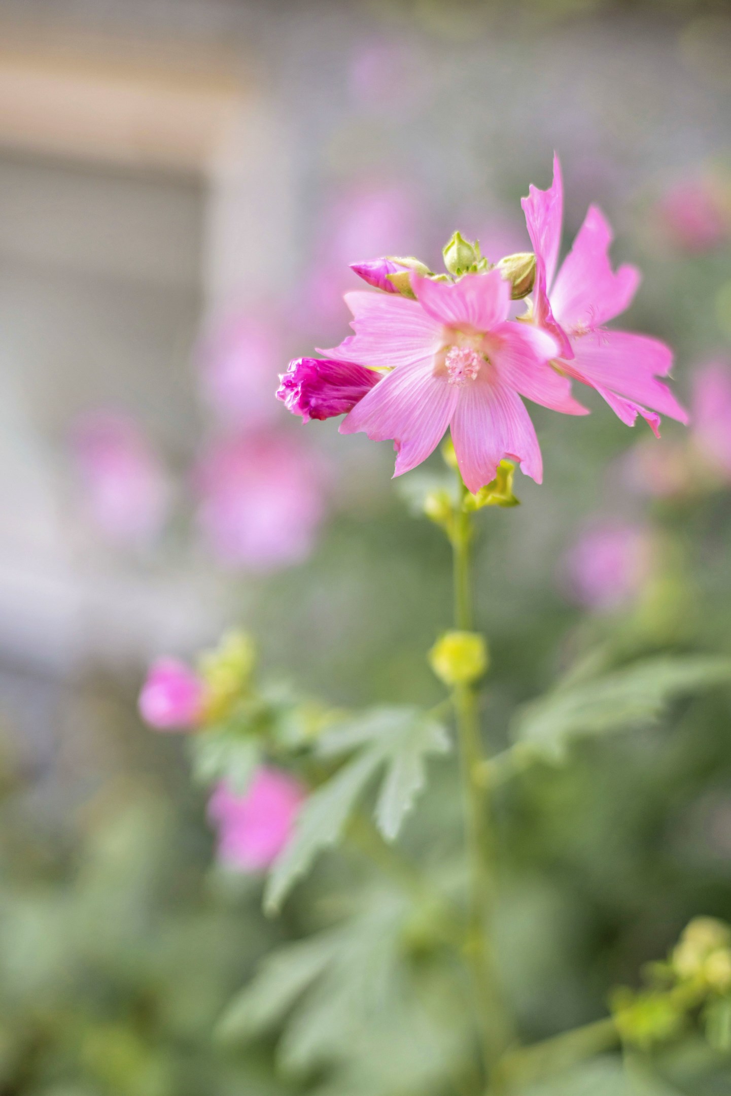 Bostadsbild från Hällbygatan 6, Såld i Luthagen, Uppsala