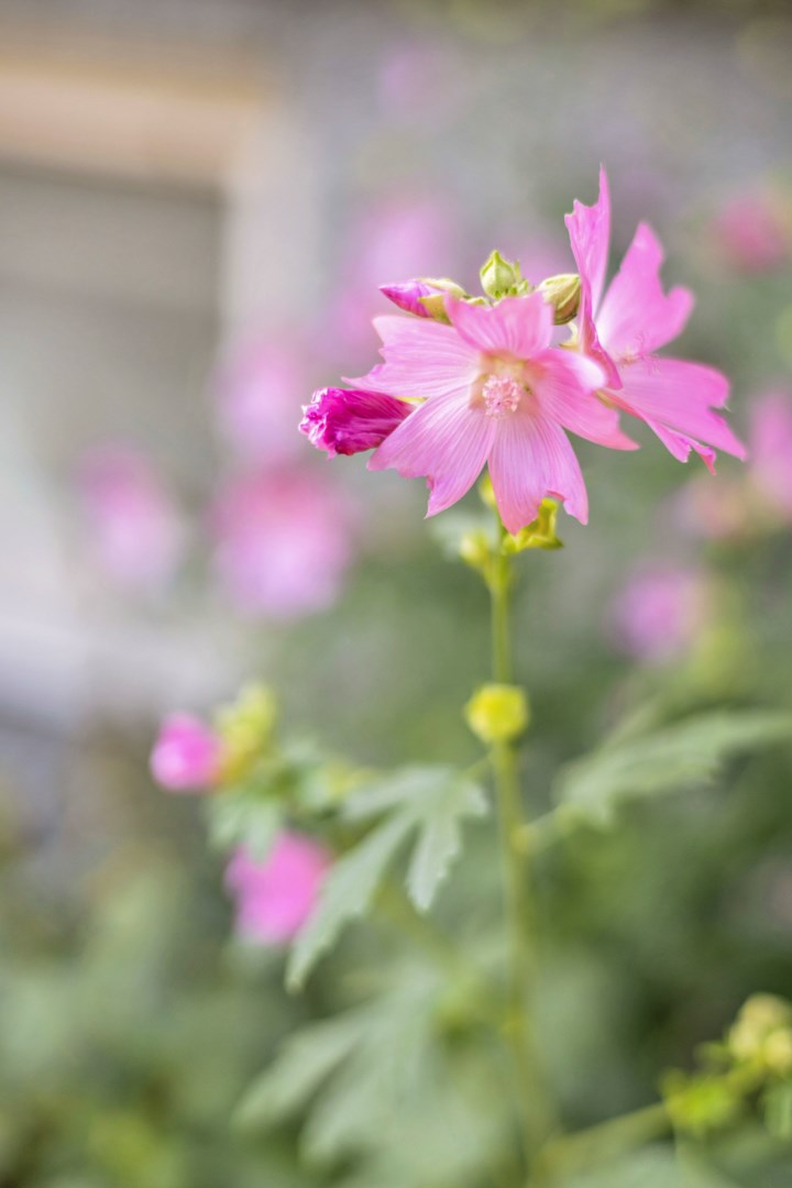 Bostadsbild från Hällbygatan 6, Såld i Luthagen, Uppsala