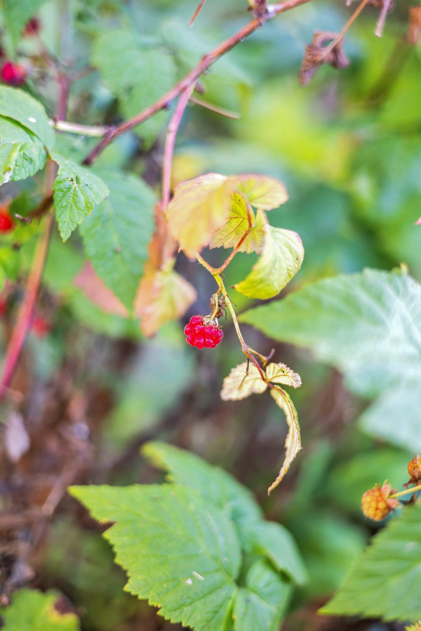 Bostadsbild från Hällbygatan 6, Såld i Luthagen, Uppsala
