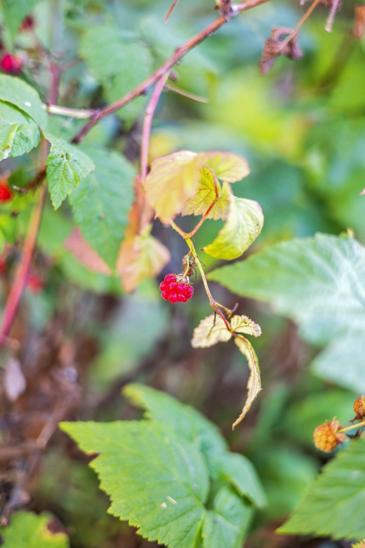 Bostadsbild från Hällbygatan 6, Såld i Luthagen, Uppsala