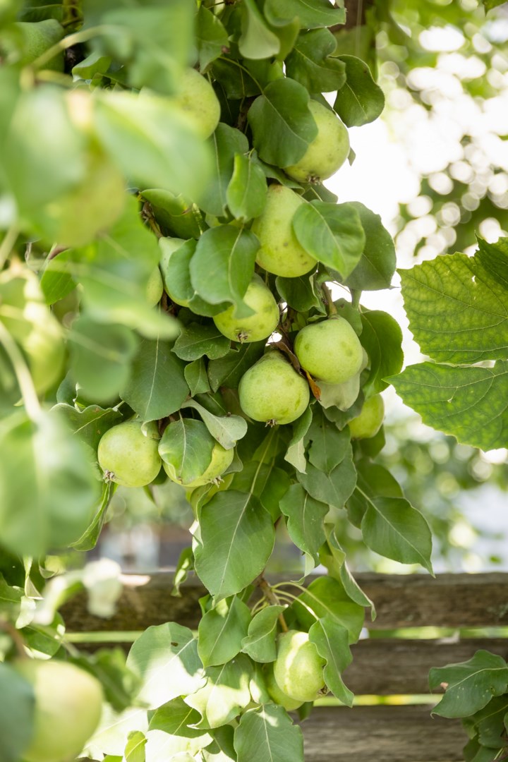 Bostadsbild från Vikingagatan 40, Såld i Svartbäcken, Uppsala
