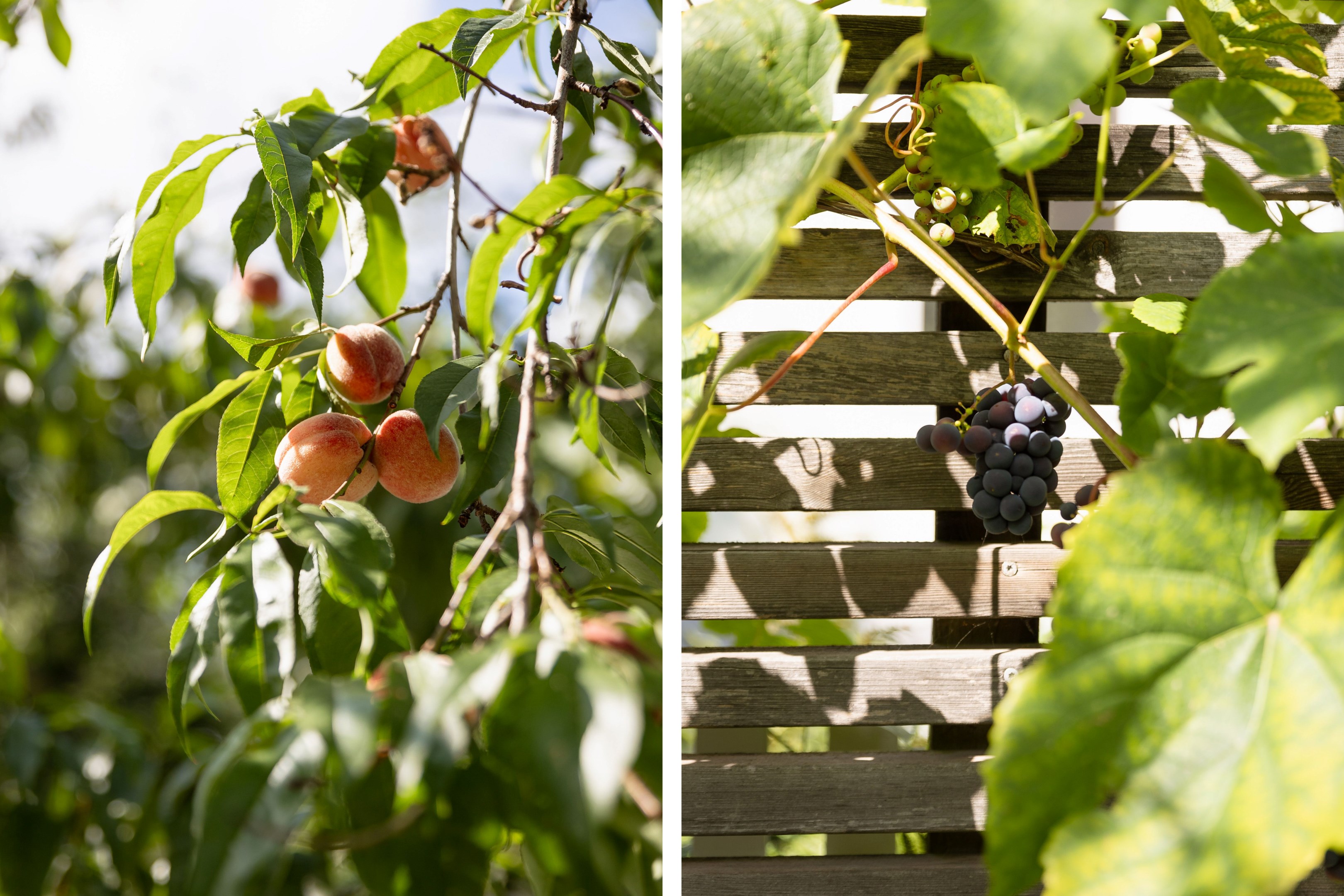 Bostadsbild från Vikingagatan 40, Såld i Svartbäcken, Uppsala