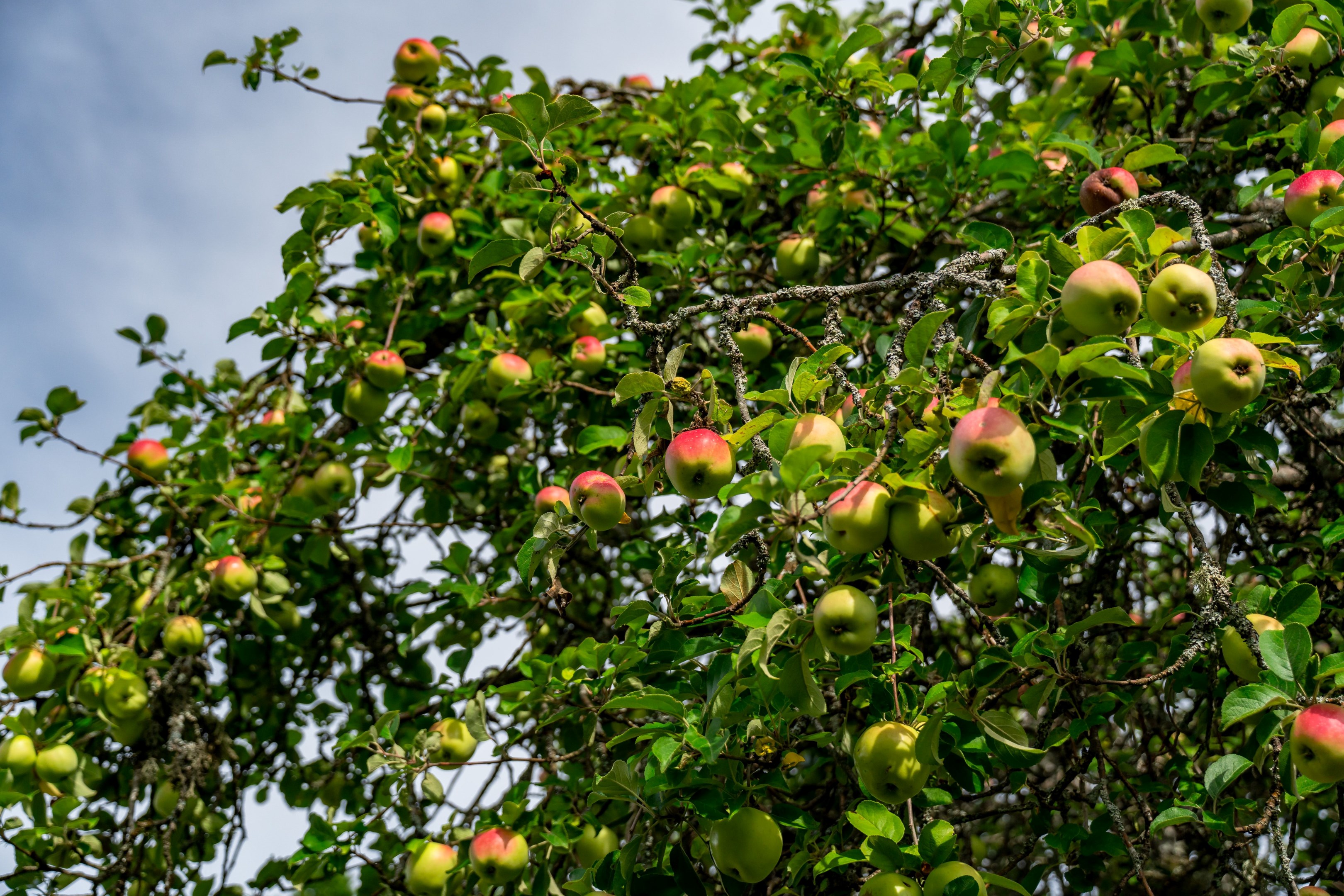Bostadsbild från Norra Parkvägen 2B, Såld i Norby, Uppsala