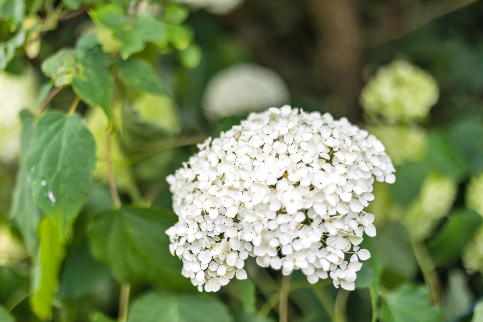 Bostadsbild från Granelidsvägen 55, Såld i Södra Gottsunda, Uppsala