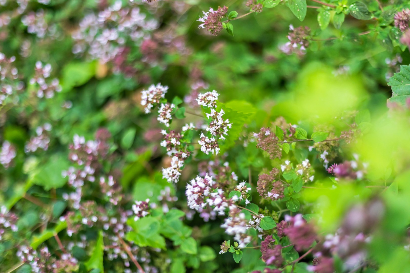 Bostadsbild från Granelidsvägen 55, Såld i Södra Gottsunda, Uppsala