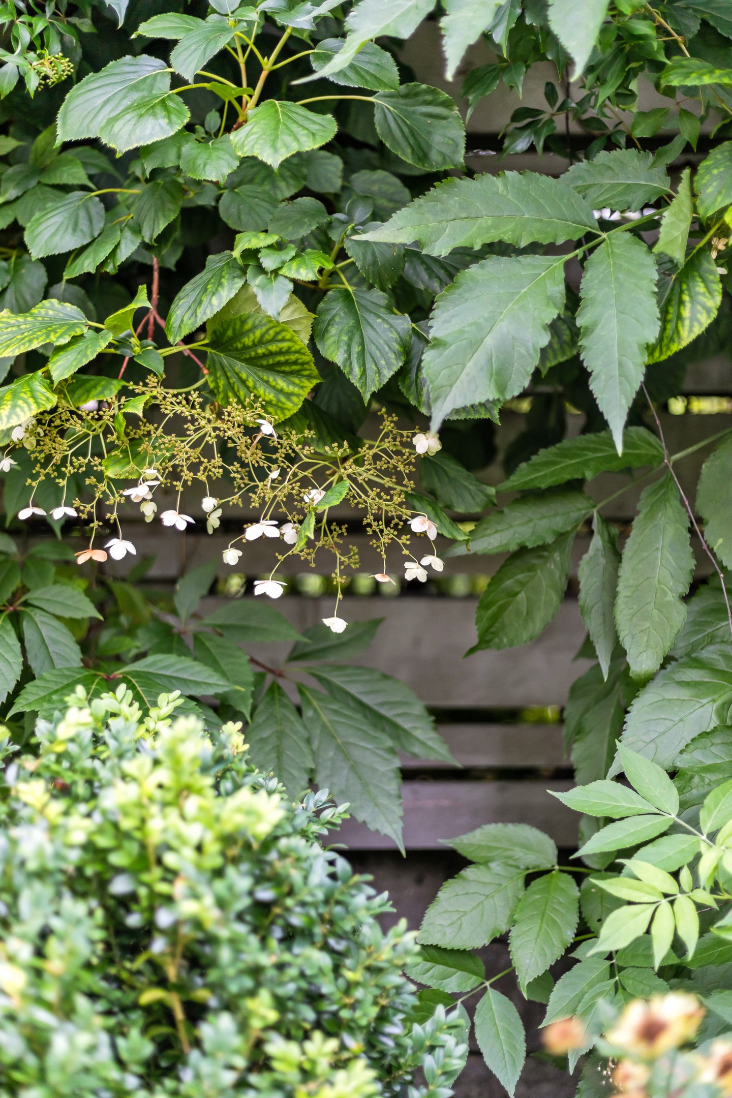 Bostadsbild från Granelidsvägen 55, Såld i Södra Gottsunda, Uppsala
