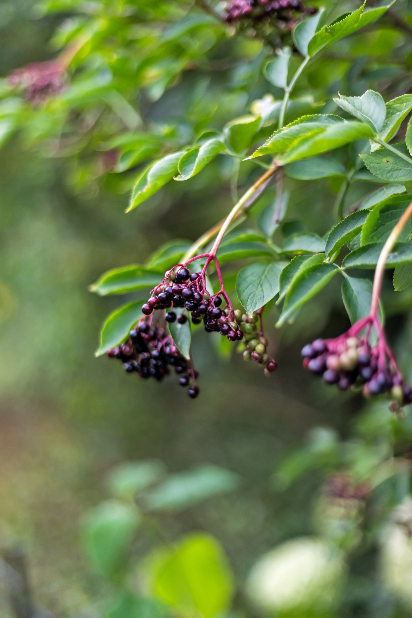 Bostadsbild från Granelidsvägen 55, Såld i Södra Gottsunda, Uppsala