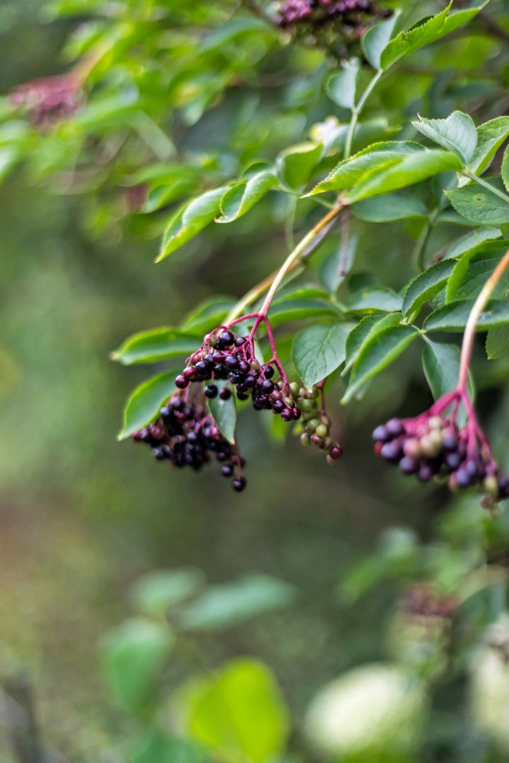 Bostadsbild från Granelidsvägen 55, Såld i Södra Gottsunda, Uppsala