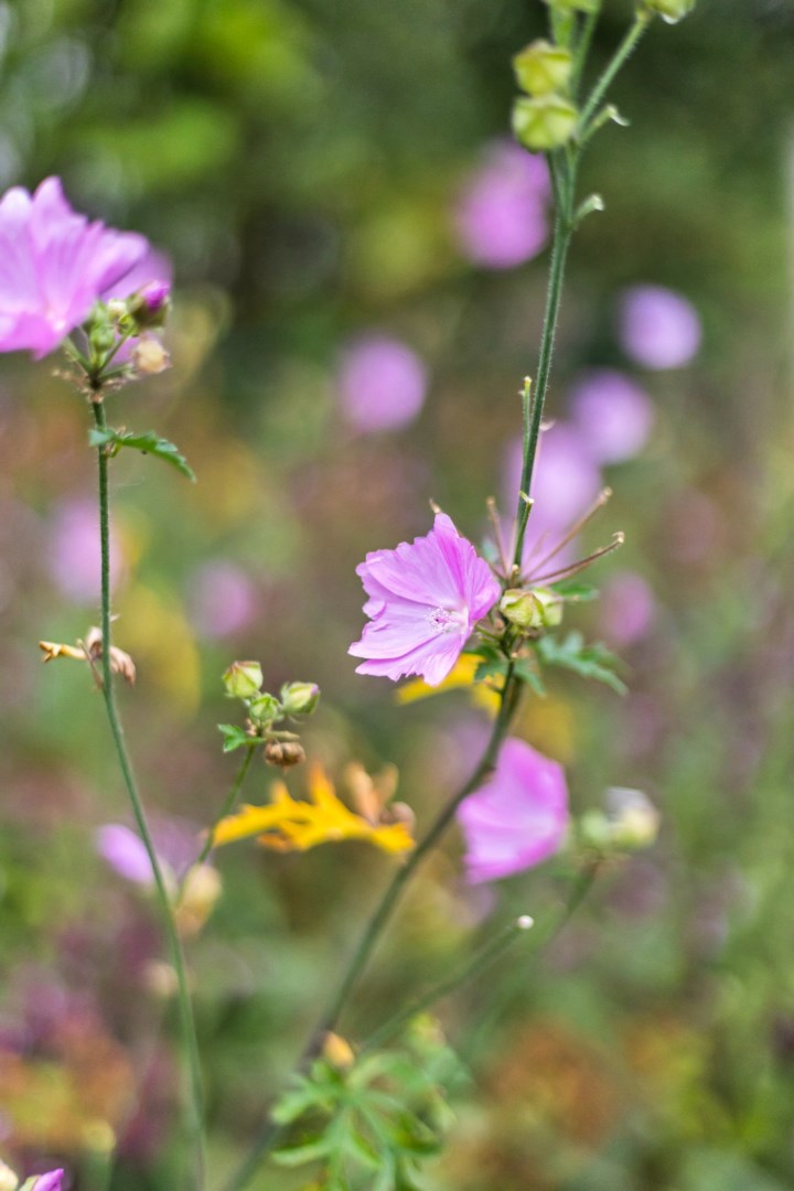 Bostadsbild från Granelidsvägen 55, Såld i Södra Gottsunda, Uppsala
