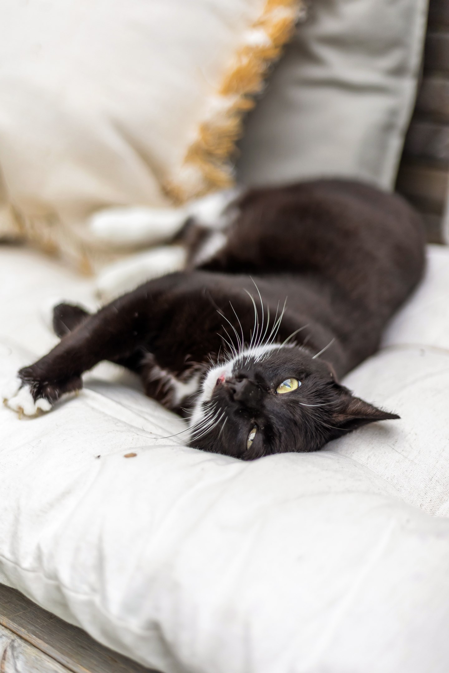 Bostadsbild från Granelidsvägen 55, Såld i Södra Gottsunda, Uppsala