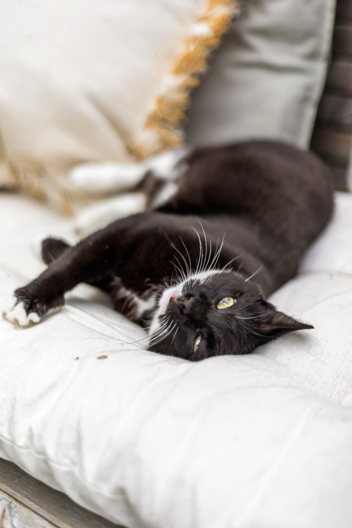 Bostadsbild från Granelidsvägen 55, Såld i Södra Gottsunda, Uppsala