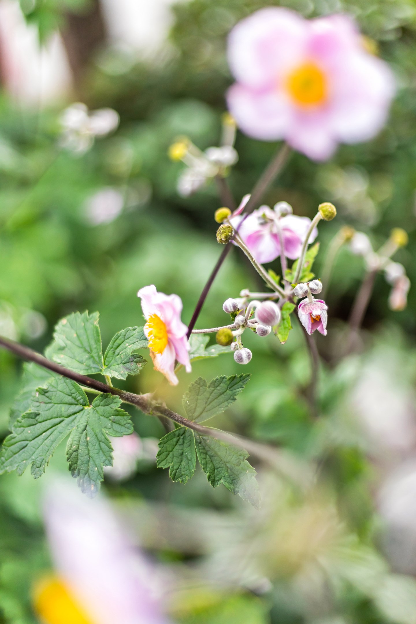 Bostadsbild från Granelidsvägen 55, Såld i Södra Gottsunda, Uppsala