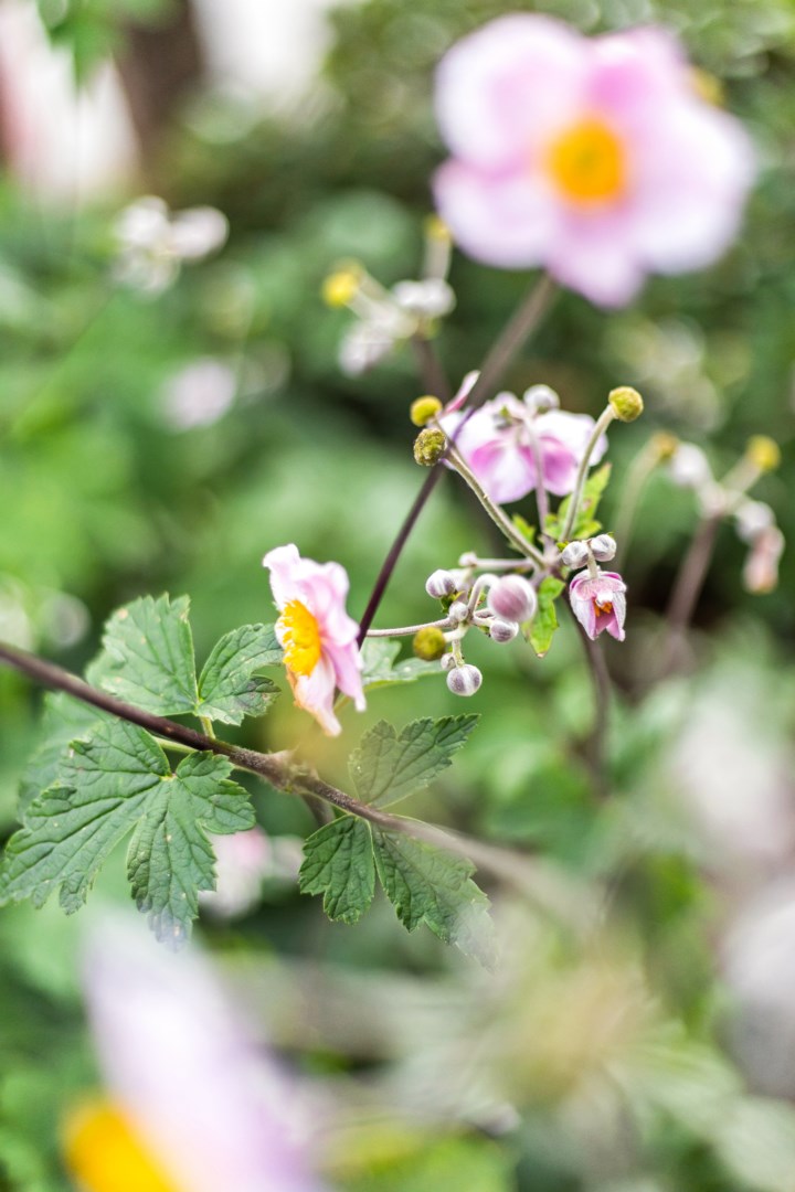 Bostadsbild från Granelidsvägen 55, Såld i Södra Gottsunda, Uppsala