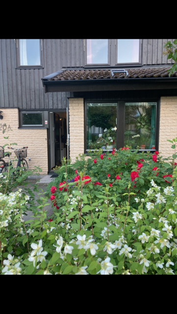 Säljarens bild