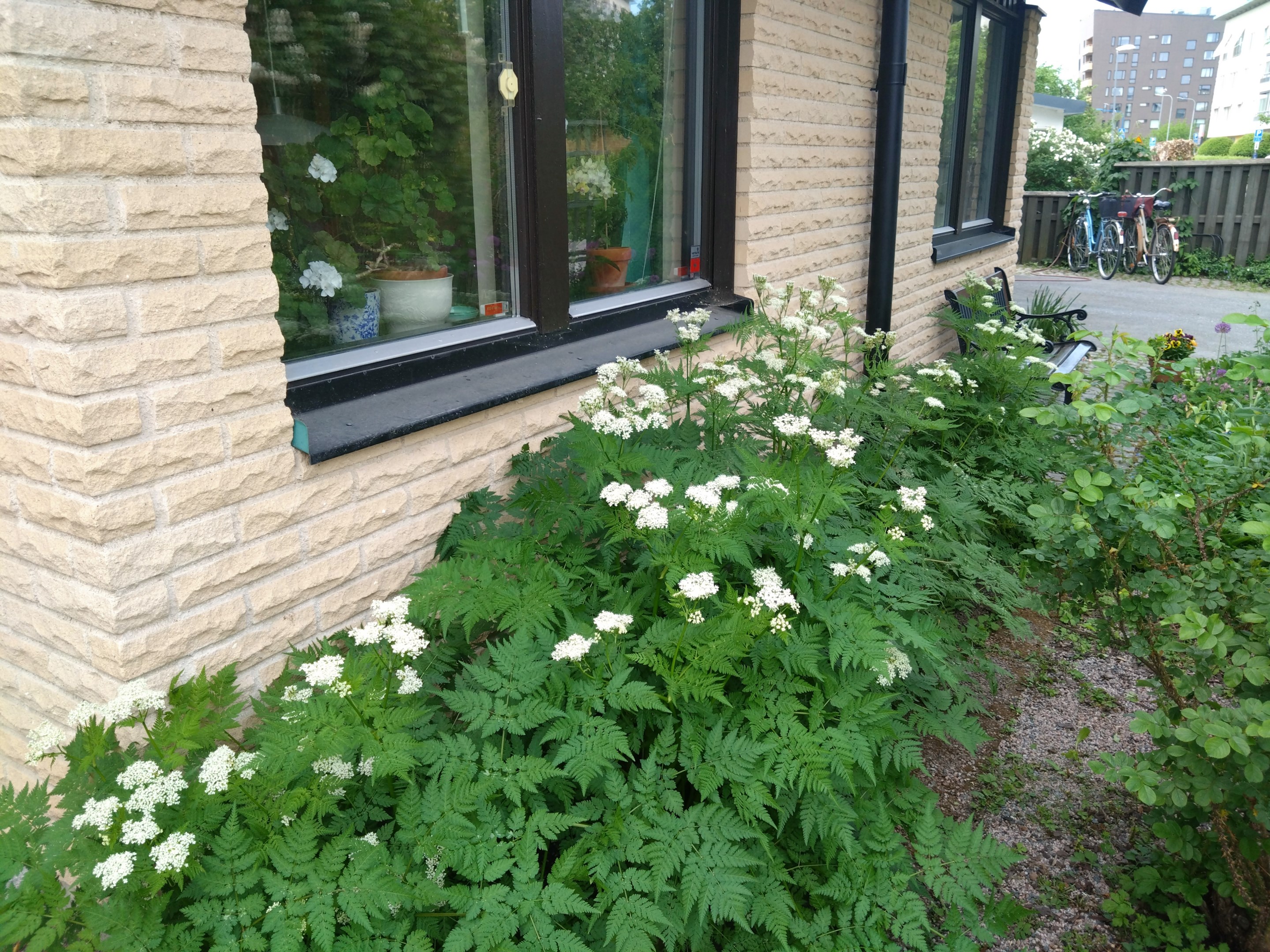 Säljarens bild