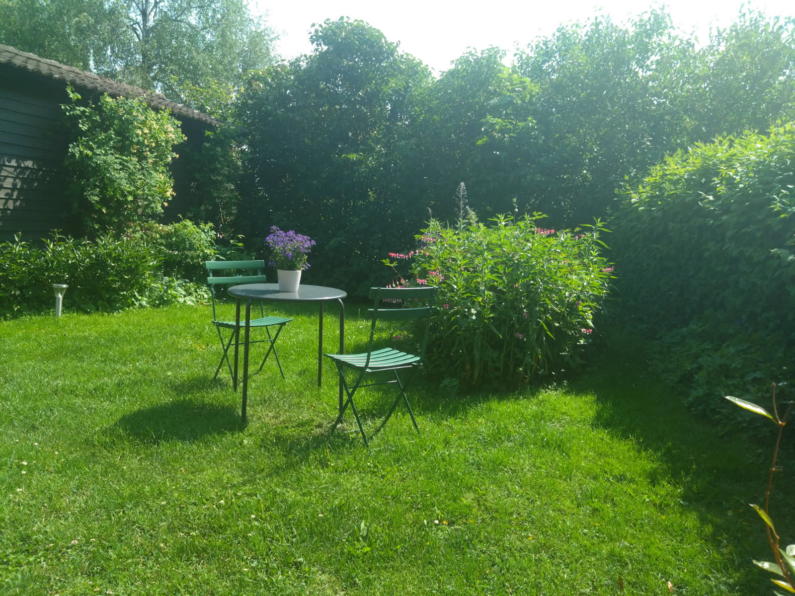 Säljarens bild