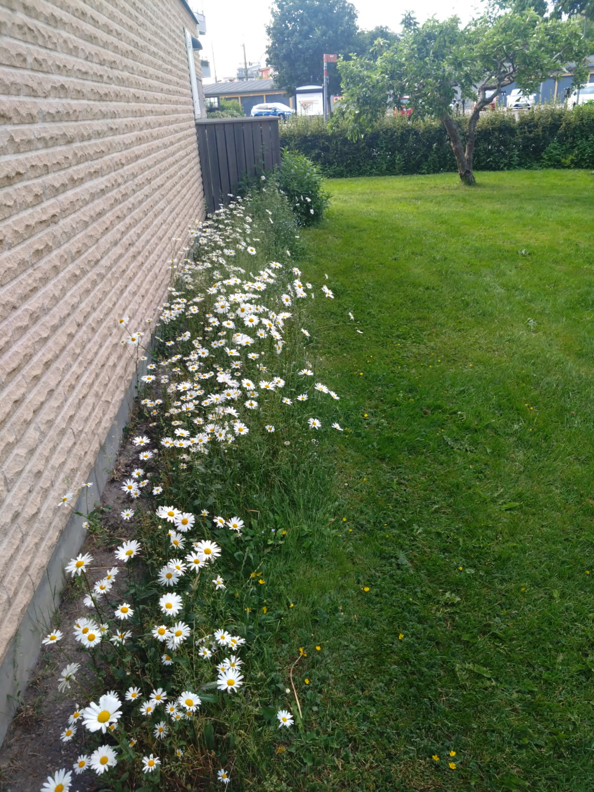 Säljarens bild