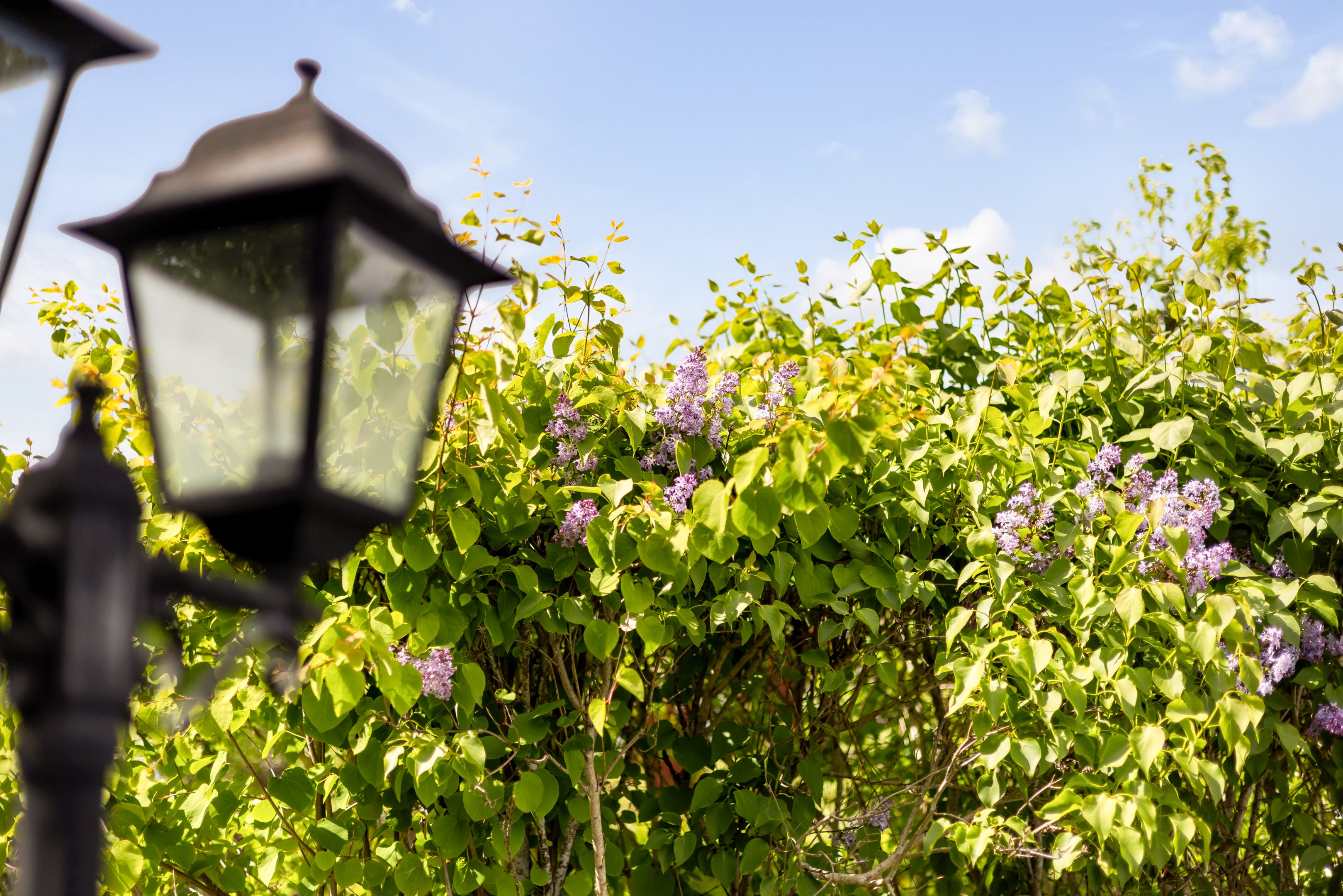 Bostadsbild från Tors väg 7B, Såld i Gamla Uppsala, Uppsala