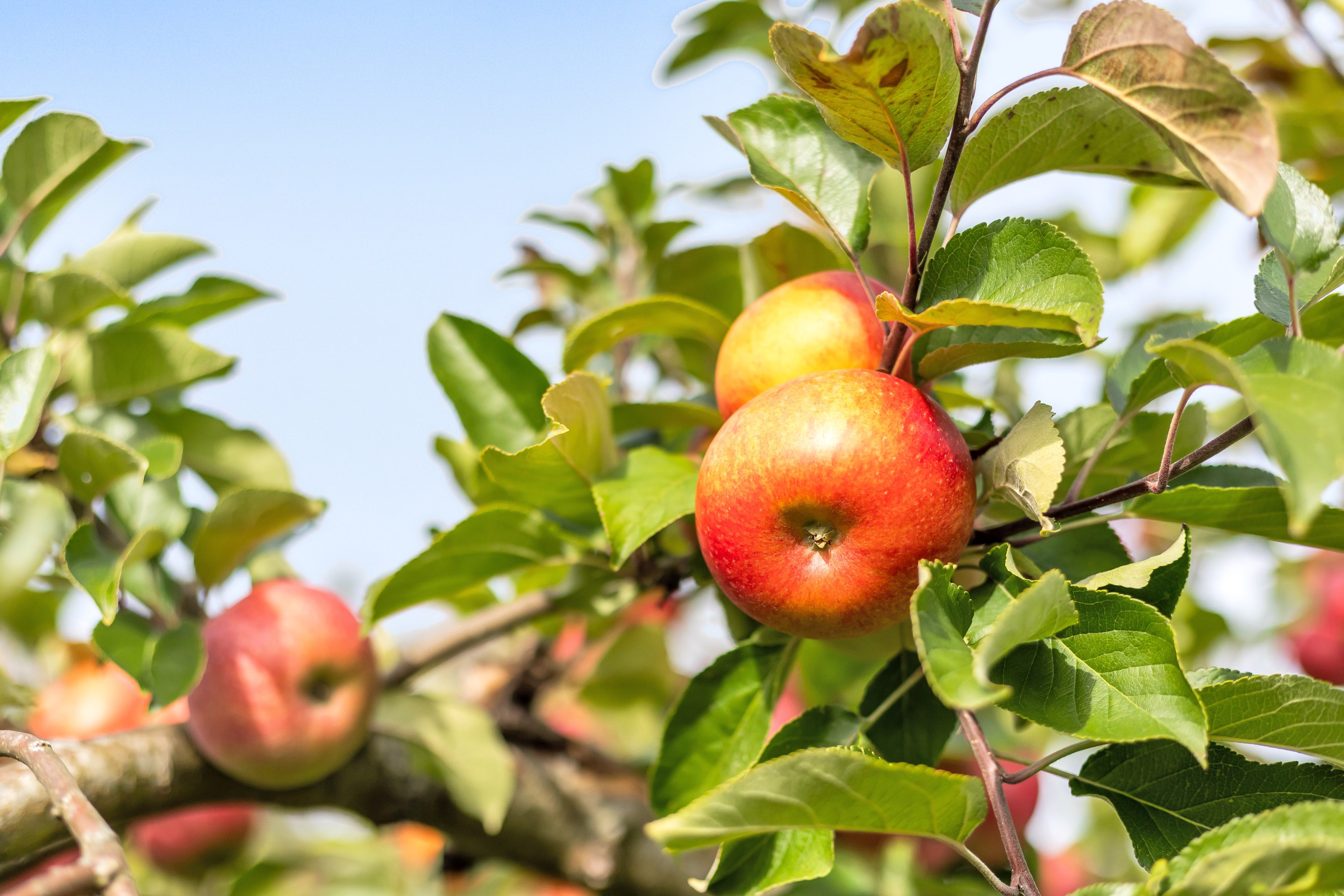 Bostadsbild från Milstensvägen 32, Såld i Herrhagen, Uppsala