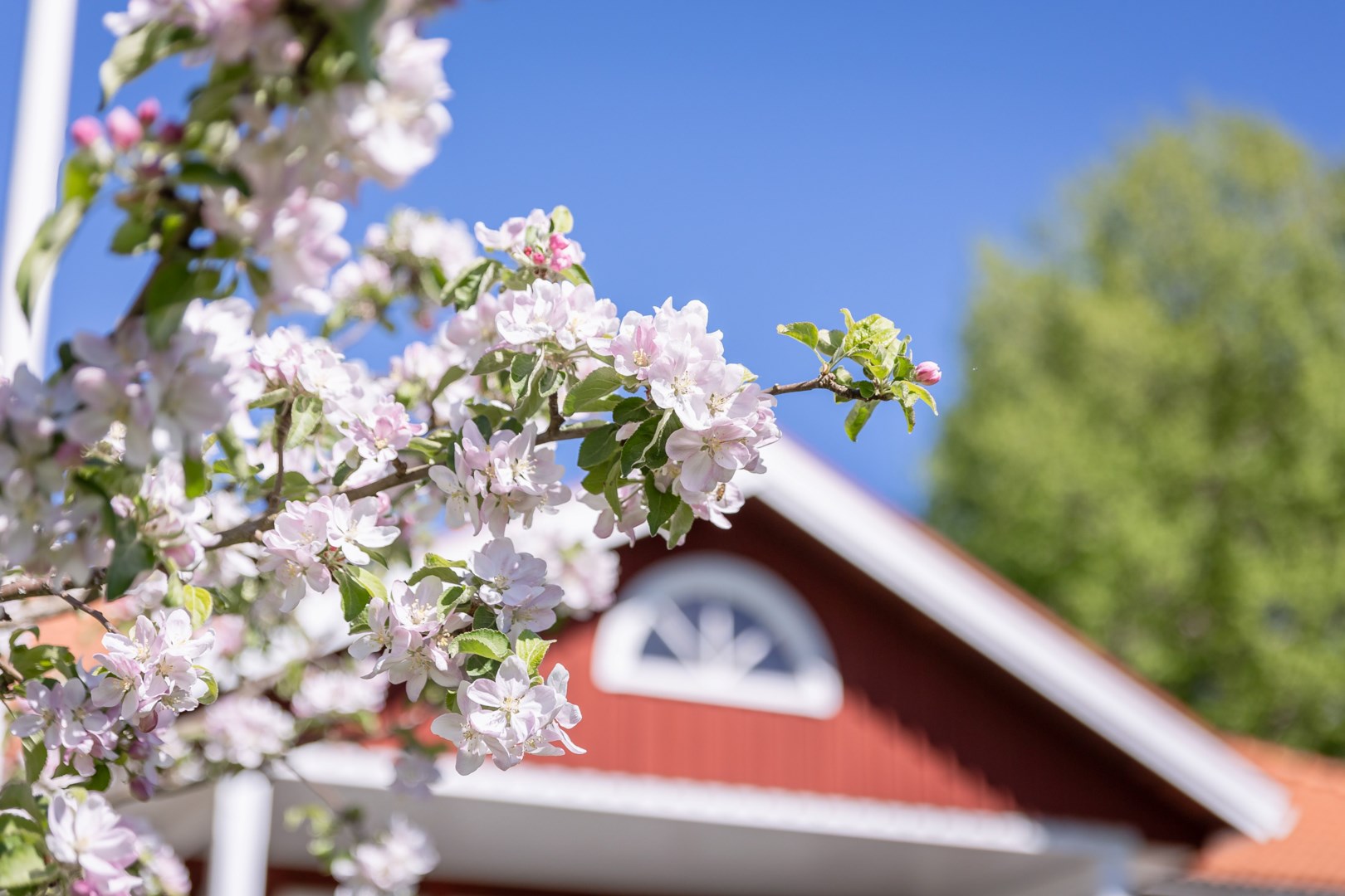 Bostadsbild från Lilla Sämtegen 52, Såld i Sämtegen/Fjällnora, Uppsala