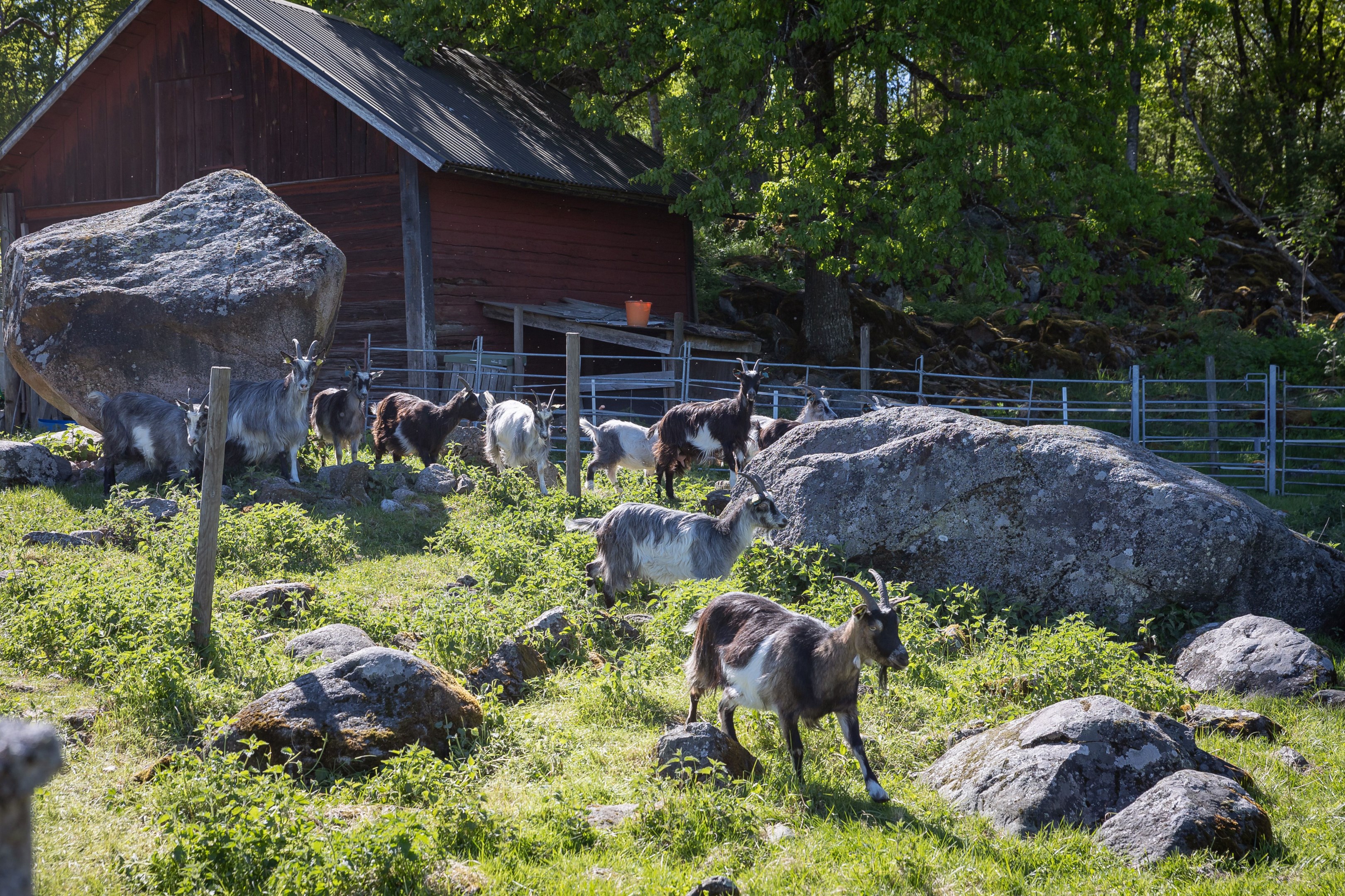 Bostadsbild från Lilla Sämtegen 52, Såld i Sämtegen/Fjällnora, Uppsala
