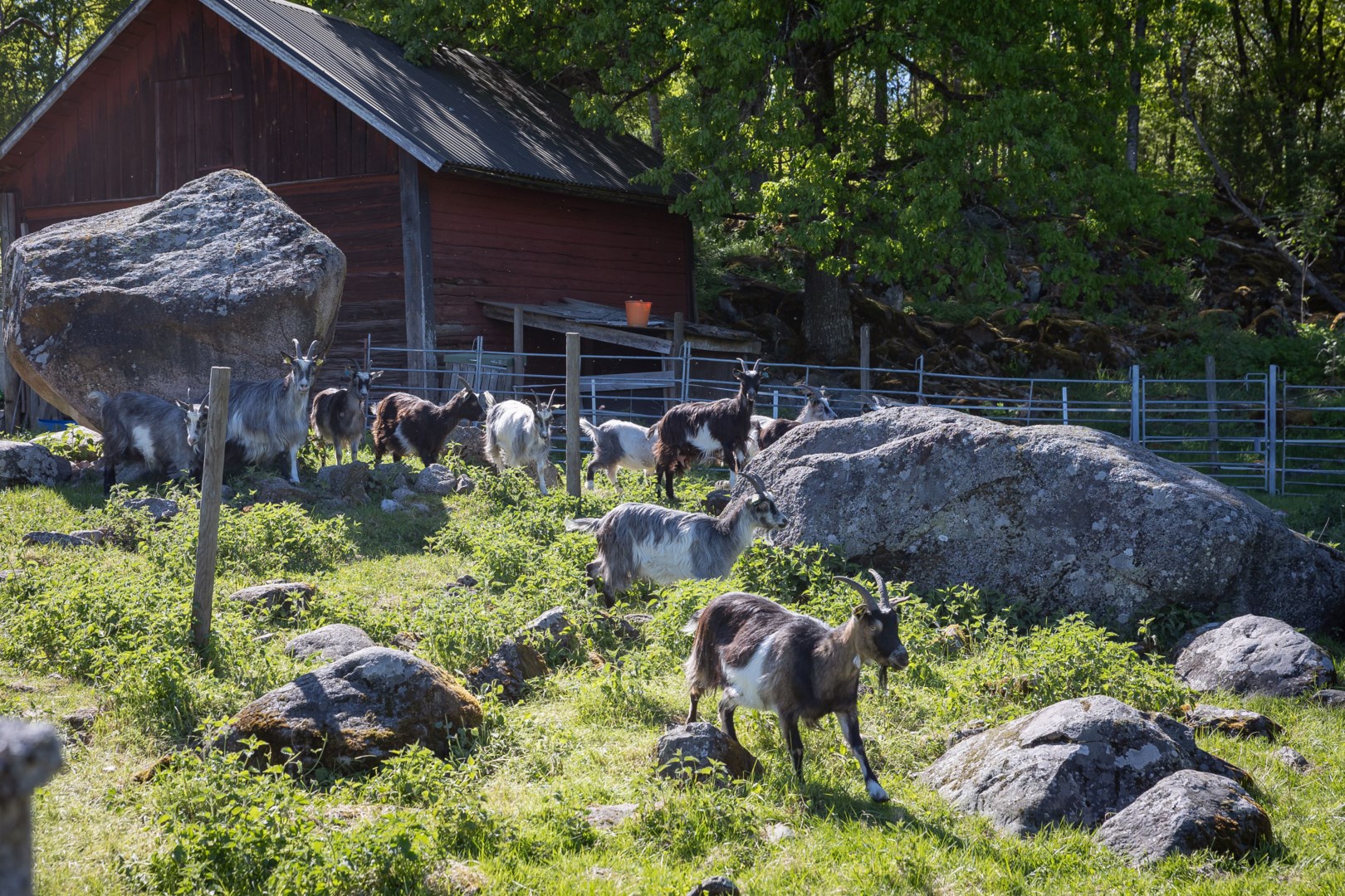 Bostadsbild från Lilla Sämtegen 52, Såld i Sämtegen/Fjällnora, Uppsala