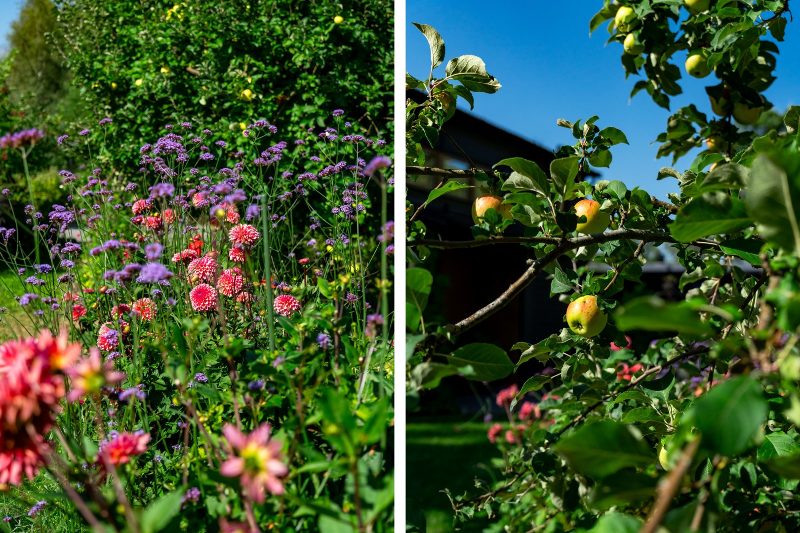 Bostadsbild från Igelkottsvägen 8, Såld i Vreta, Uppsala