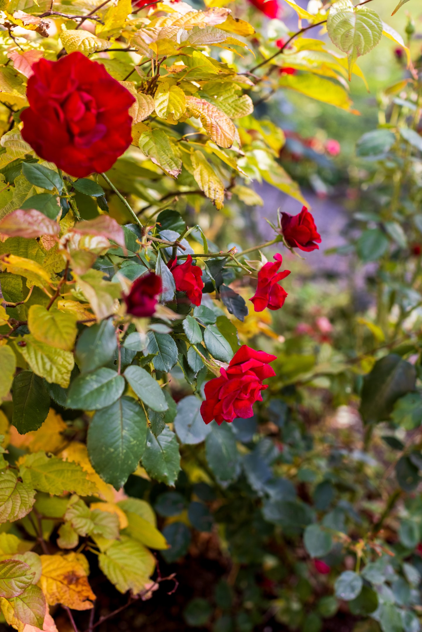 Bostadsbild från Ingvarsgatan 13, Såld i Svartbäcken, Uppsala