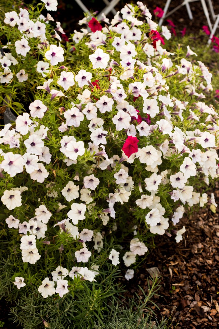 Bostadsbild från Ingvarsgatan 13, Såld i Svartbäcken, Uppsala