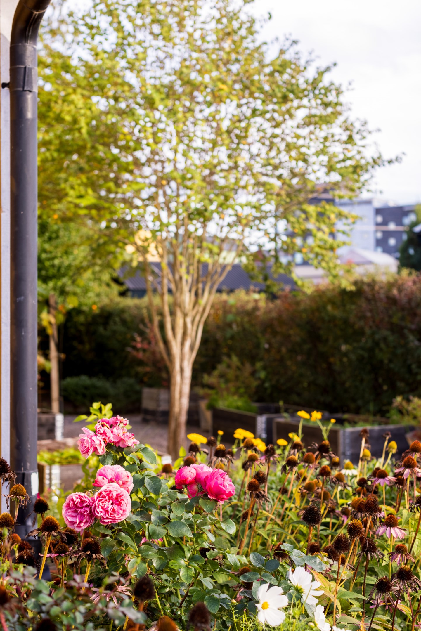 Bostadsbild från Ingvarsgatan 13, Såld i Svartbäcken, Uppsala
