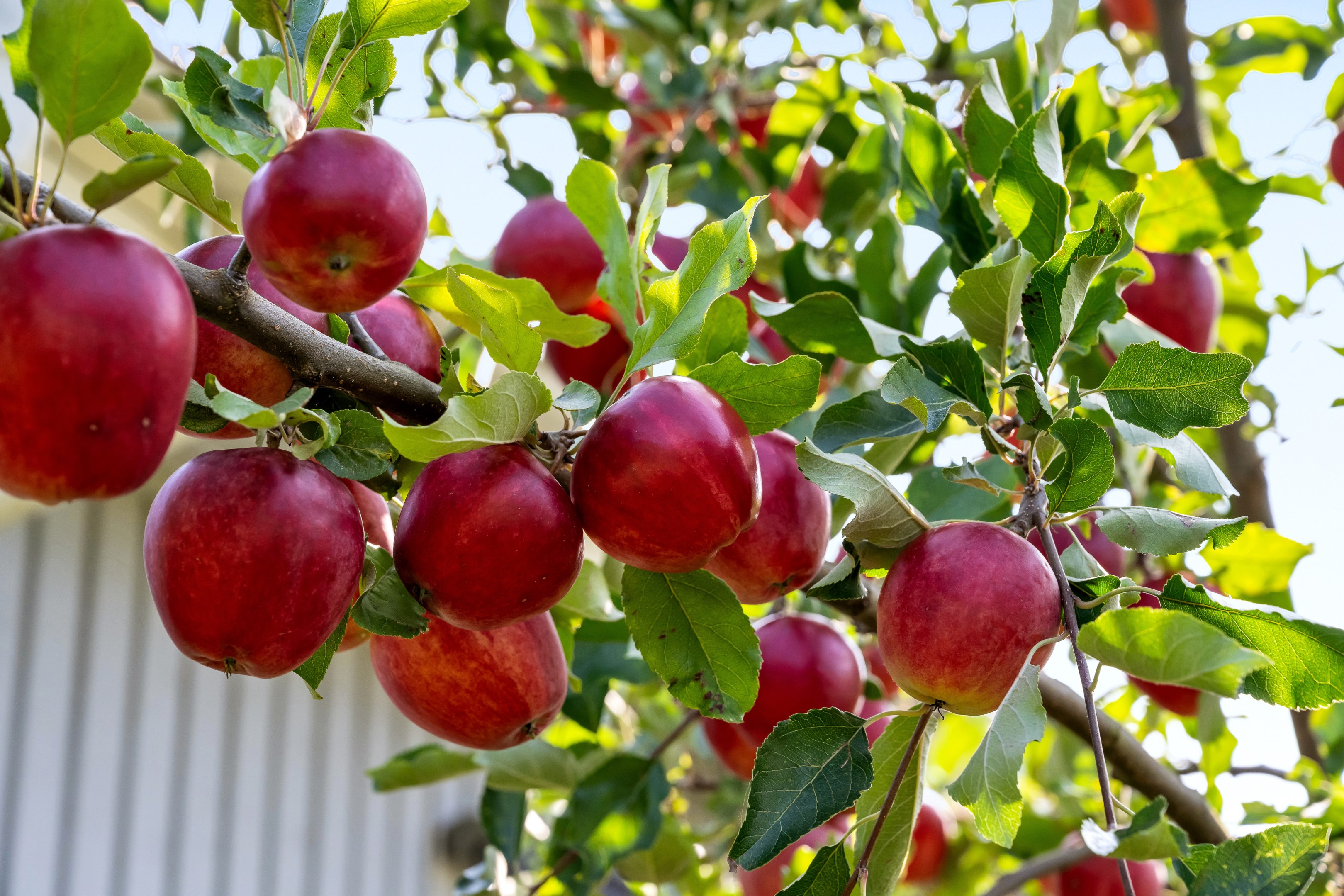 Bostadsbild från Ärentuna 184, Såld i Ärentuna, Uppsala