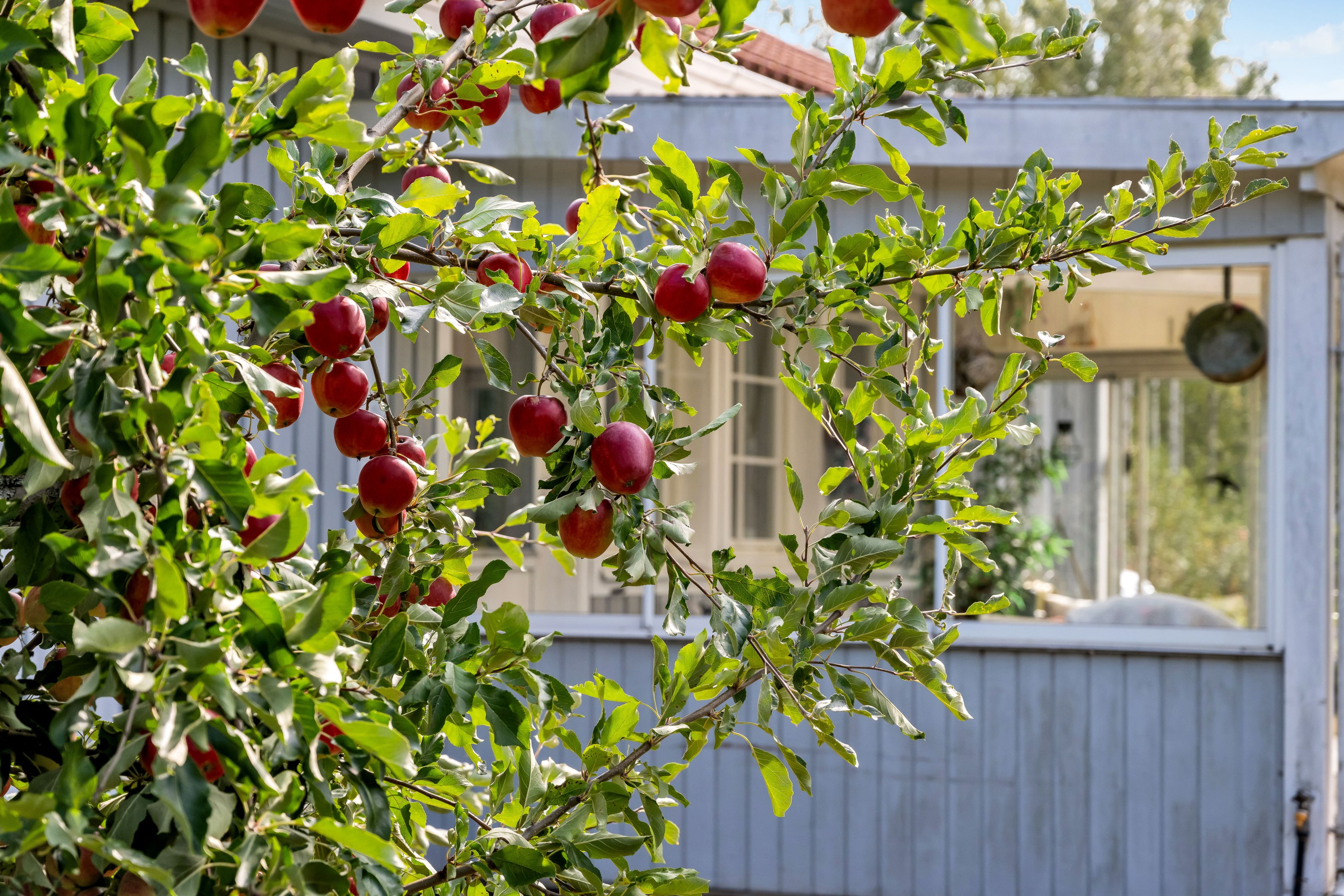 Bostadsbild från Ärentuna 184, Såld i Ärentuna, Uppsala