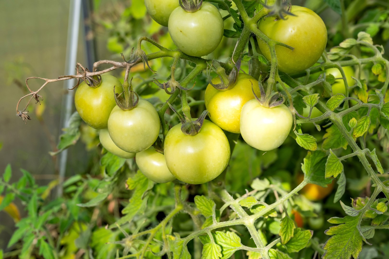 Bostadsbild från Ärentuna 184, Såld i Ärentuna, Uppsala