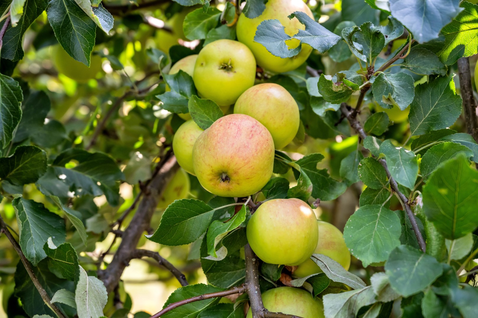 Bostadsbild från Ärentuna 184, Såld i Ärentuna, Uppsala