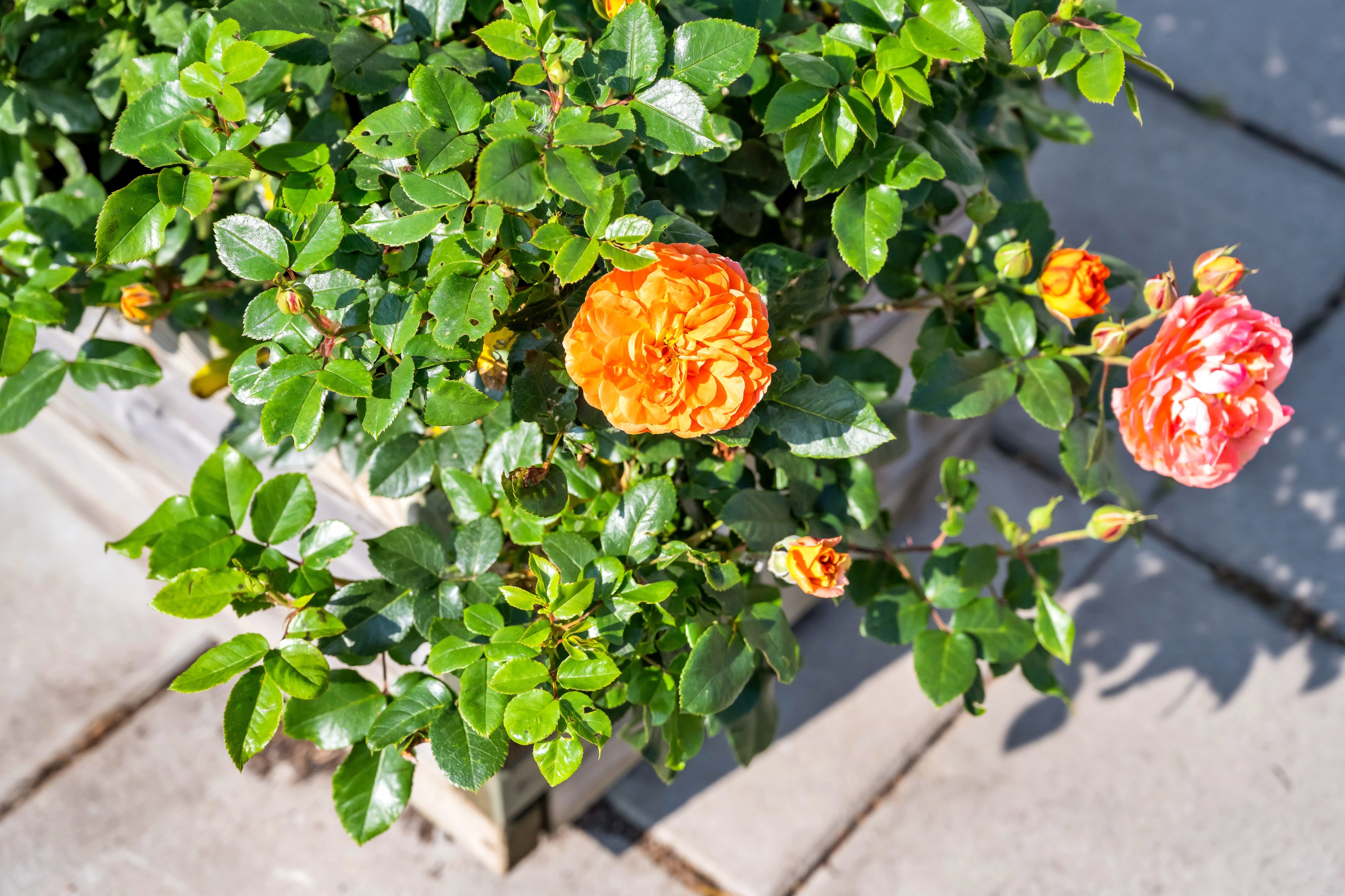 Bostadsbild från Ärentuna 184, Såld i Ärentuna, Uppsala